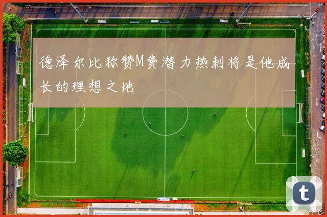 德泽尔比称赞M费潜力热刺将是他成长的理想之地