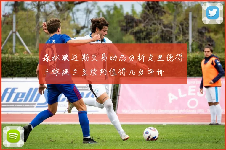 森林狼近期交易动态分析走里德得三球换兰豆续约值得几分评价