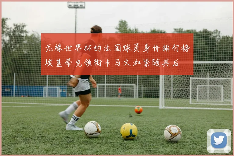 无缘世界杯的法国球员身价排行榜埃基蒂克领衔卡马文加紧随其后
