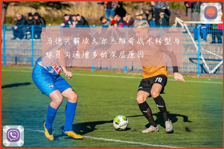 马德兴解读久尔杰维奇战术转型与球员沟通增多的深层原因