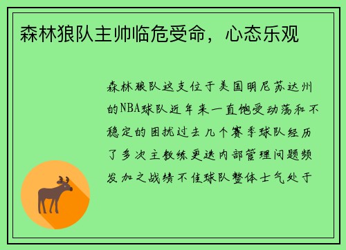 森林狼队主帅临危受命，心态乐观